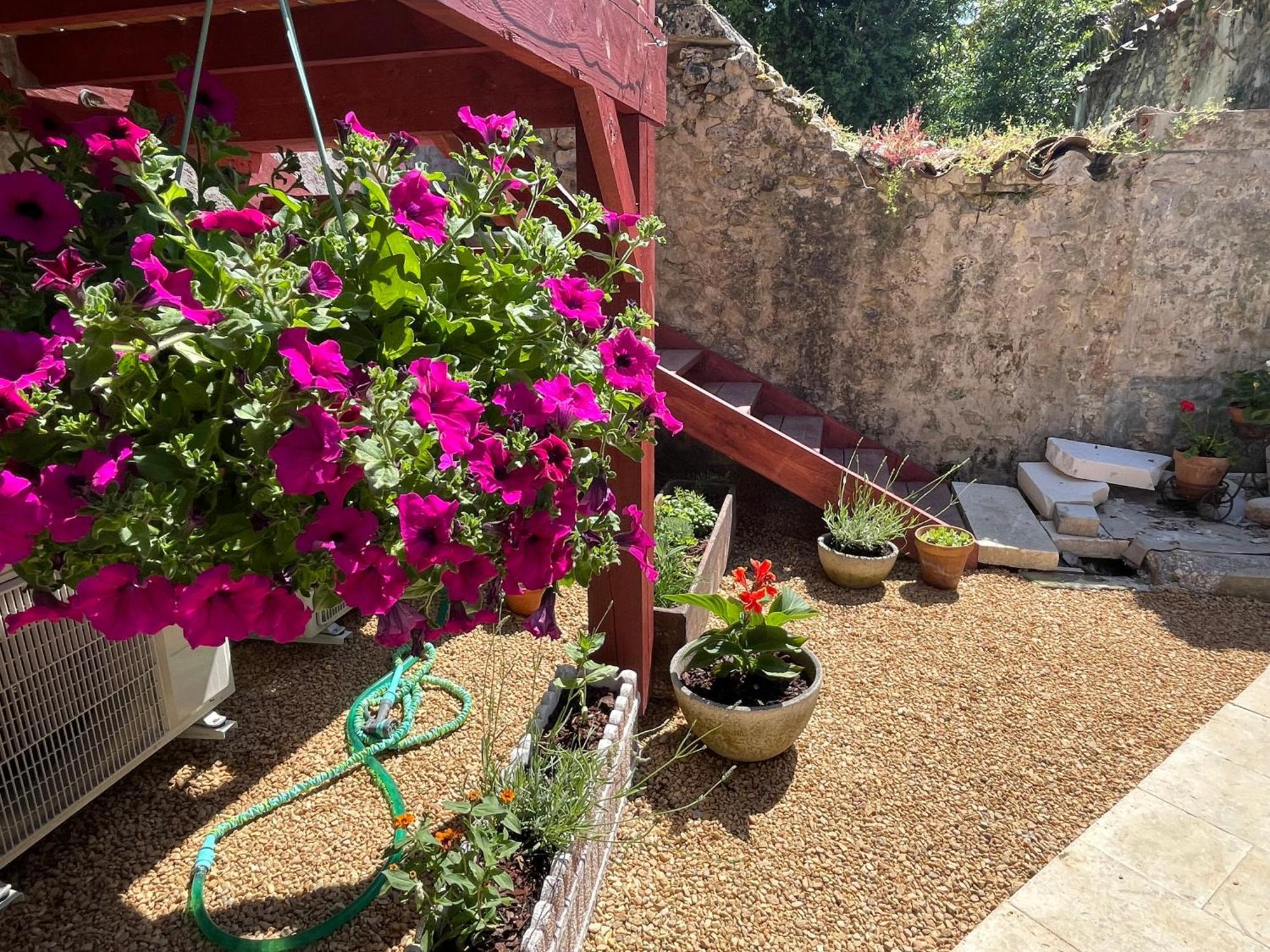 Au Pied Du Chateau Bourdeilles المظهر الخارجي الصورة